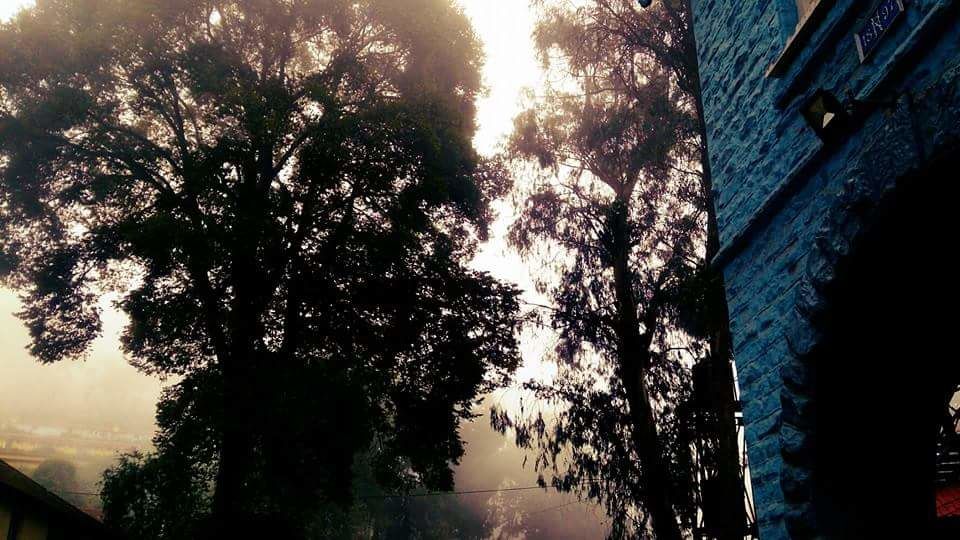 Photo of Coonoor - The Hidden Malgudi 2/5 by Piclooper
