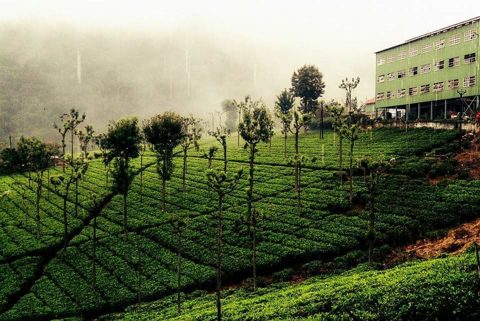 Photo of Coonoor - The Hidden Malgudi 3/5 by Piclooper