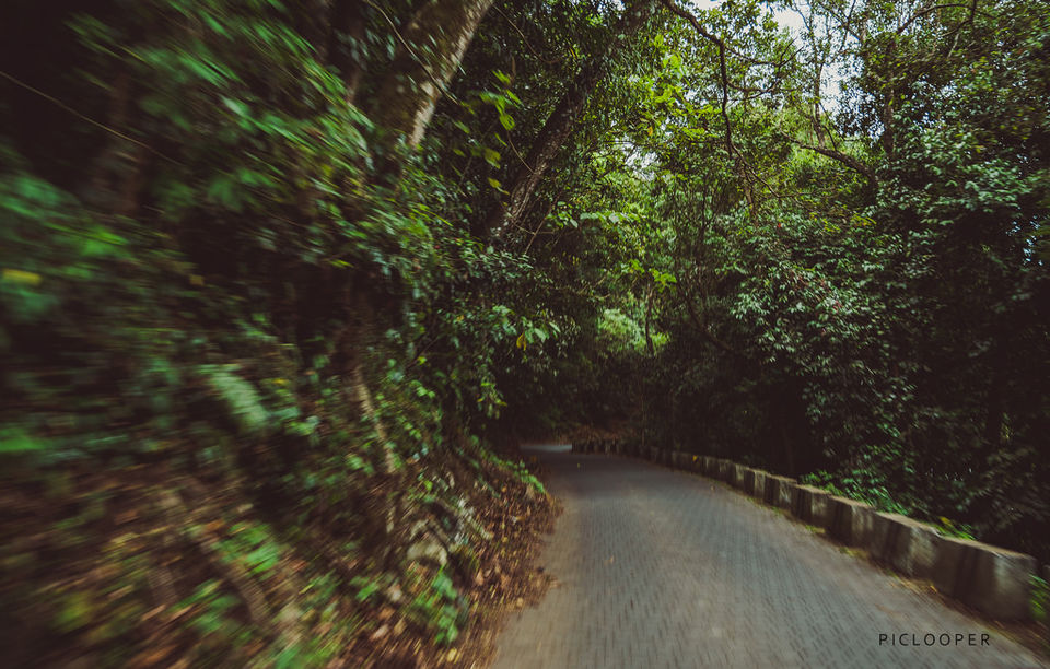 Photo of Coonoor - The Hidden Malgudi 4/5 by Piclooper