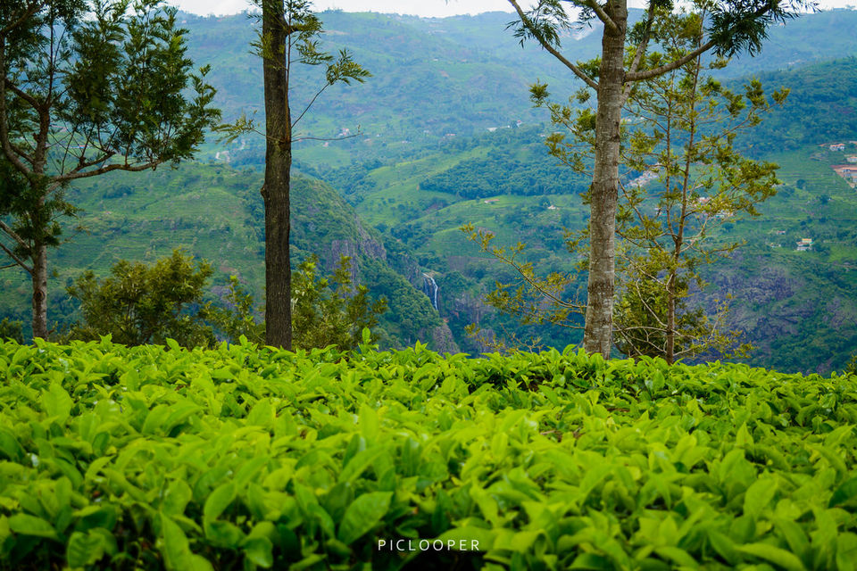 Photo of Coonoor - The Hidden Malgudi 5/5 by Piclooper