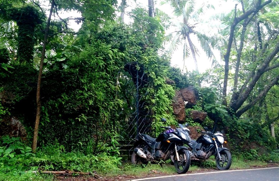 Photo of ROAD TRIP - KERALA to GOA 1/18 by Thejus- Lost Maps