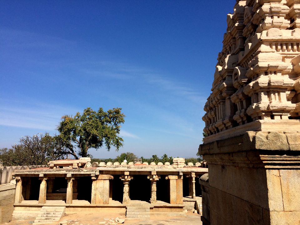 Photo of Le Pakshi- Rise bird! 9/12 by Thejus- Lost Maps