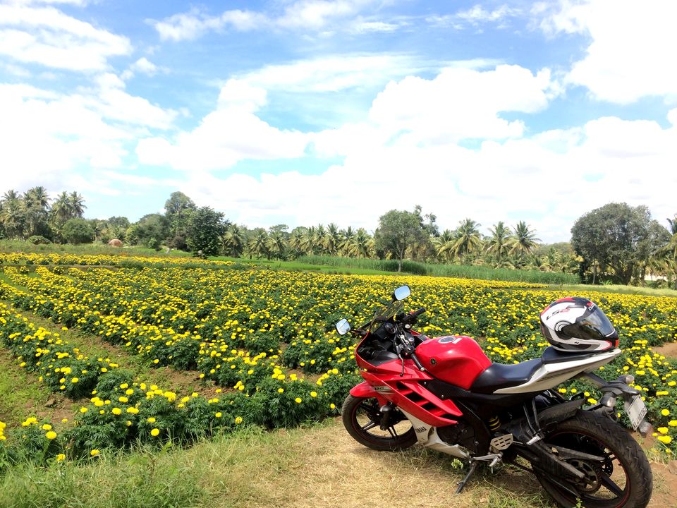 Photo of Mysore Diaries 3/9 by Thejus- Lost Maps