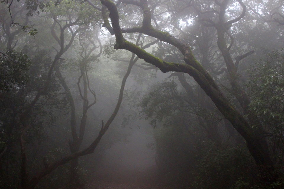 Photo of Mumbai - Pune Solo Ride : 5 days : 2500 KM 40/42 by Thejus- Lost Maps