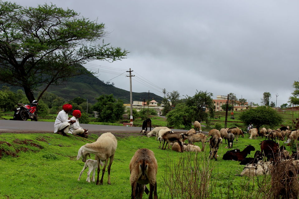 Photo of Mumbai - Pune Solo Ride : 5 days : 2500 KM 39/42 by Thejus- Lost Maps