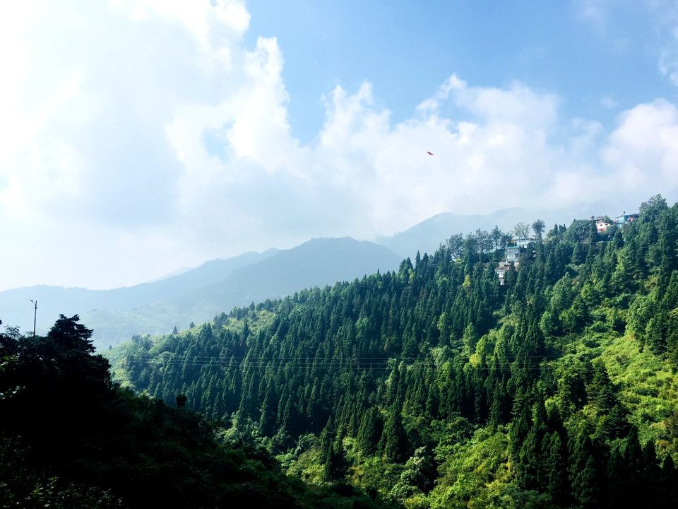 Photo of Bungy Jumping from the height of 23 storied building! 2000 KM Trip- RAJASTAN | DEHRADUN | RISHIKESH 30/46 by Thejus- Lost Maps