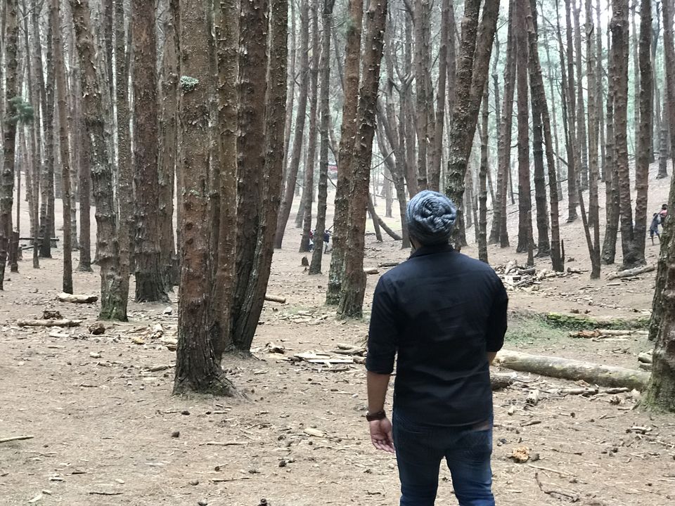 Photo of Kodaikanal- The end of the Forest 12/19 by Thejus- Lost Maps