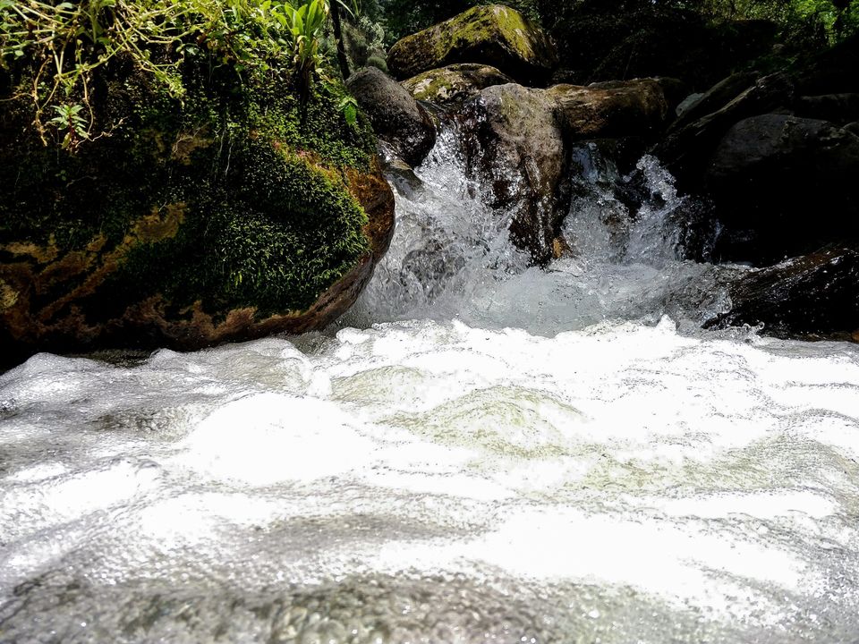 Photo of Jibhi, Himachal Pradesh, India by Parth.