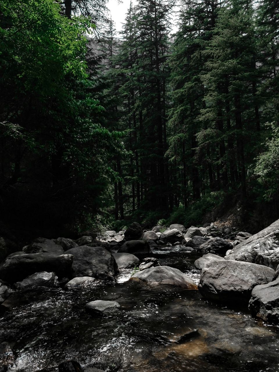 Photo of Jibhi, Himachal Pradesh, India by Parth.