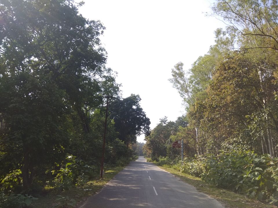 Photo of Jim Corbett National Park, Uttarakhand by Nivedita Kundu