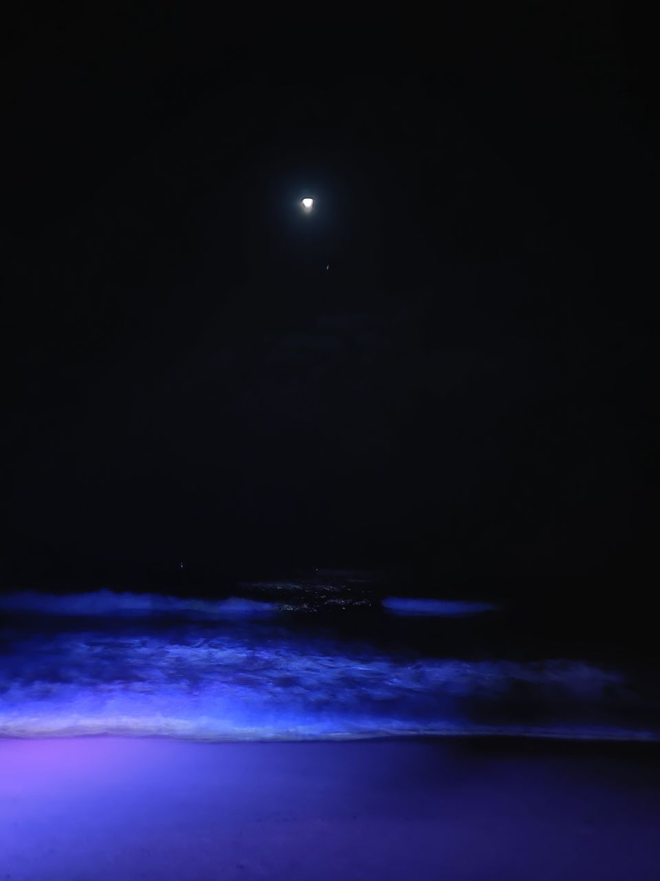 Photo of Goa by Nivedita Kundu