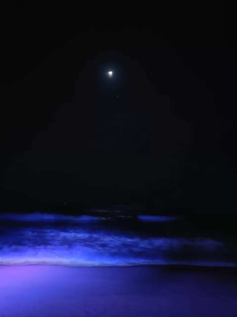 Photo of Goa by Nivedita Kundu