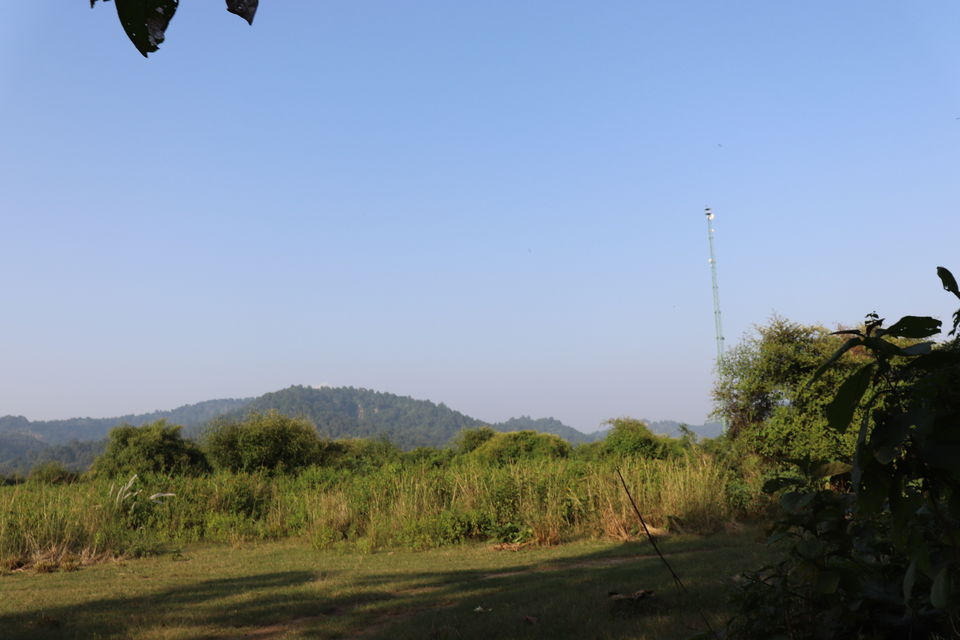 Photo of Jim Corbett National Park, Uttarakhand by Nivedita Kundu