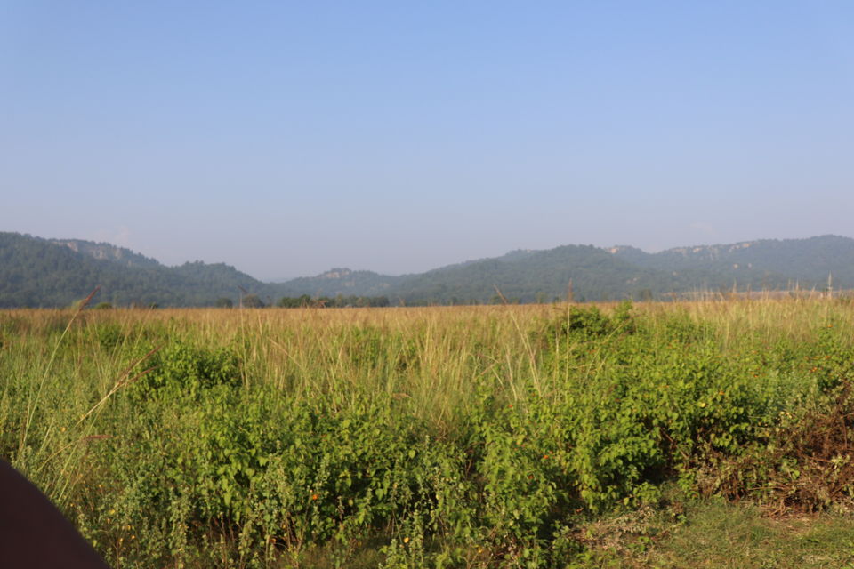 Photo of Jim Corbett National Park, Uttarakhand by Nivedita Kundu