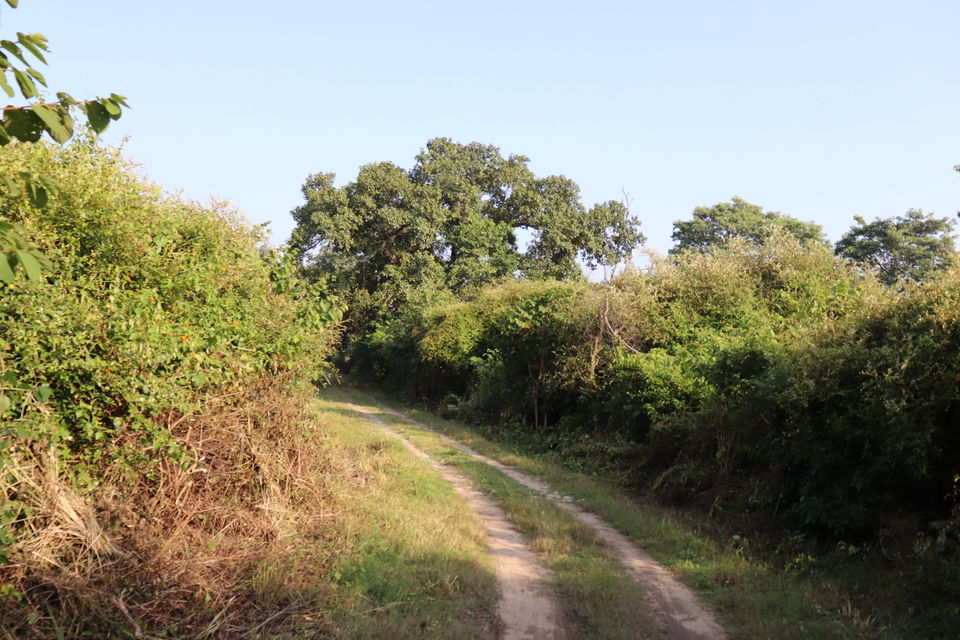 Photo of Jim Corbett National Park, Uttarakhand by Nivedita Kundu