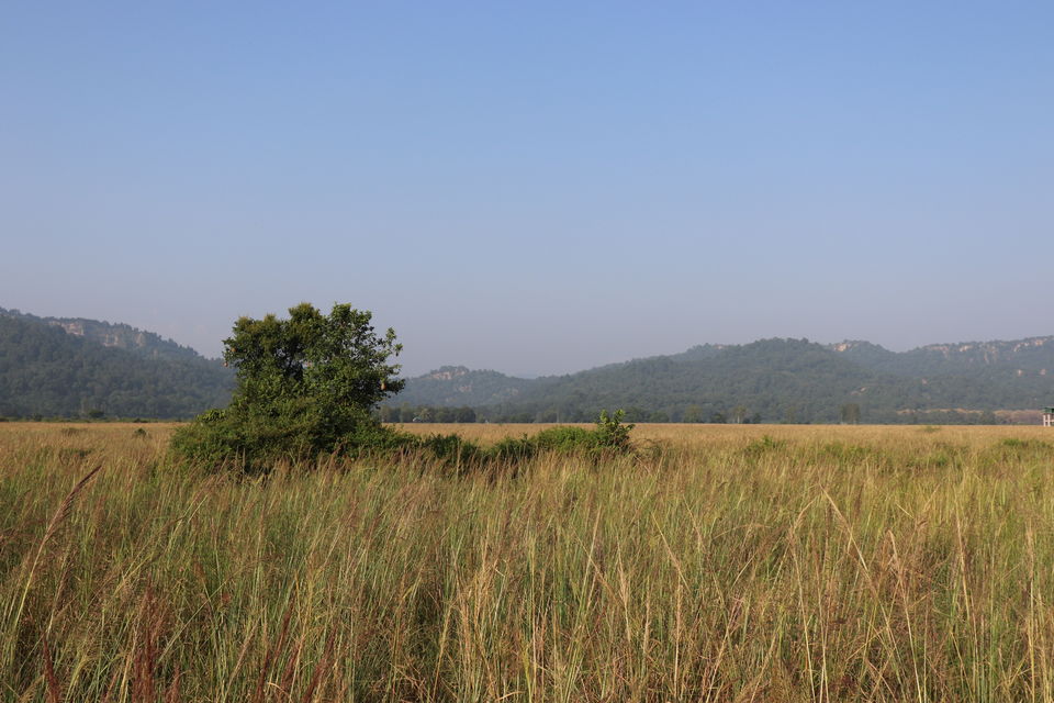 Photo of Jim Corbett National Park, Uttarakhand by Nivedita Kundu