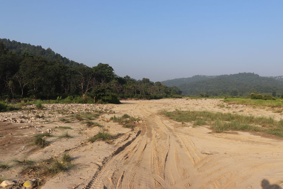 Photo of Jim Corbett National Park, Uttarakhand by Nivedita Kundu