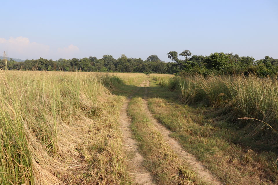 Photo of Jim Corbett National Park, Uttarakhand by Nivedita Kundu