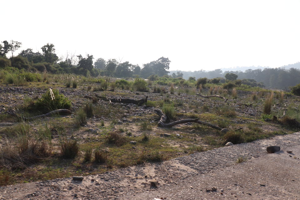 Photo of Jim Corbett National Park, Uttarakhand by Nivedita Kundu