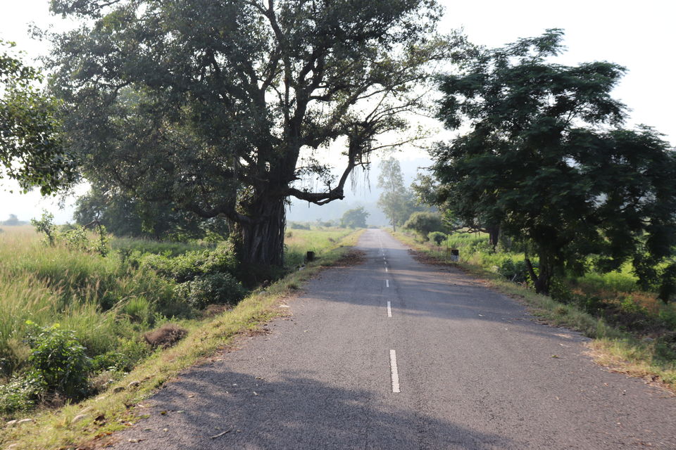 Photo of Jim Corbett National Park, Uttarakhand by Nivedita Kundu