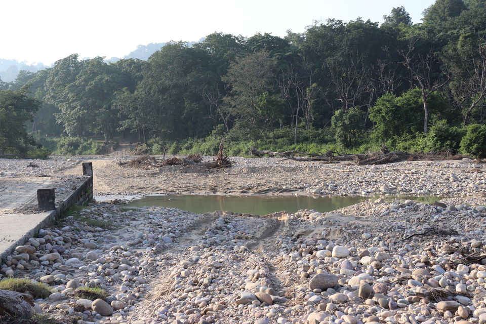 Photo of Jim Corbett National Park, Uttarakhand by Nivedita Kundu
