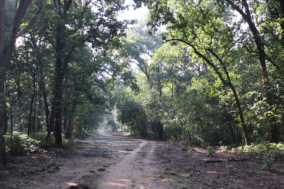 Photo of Jim Corbett National Park, Uttarakhand by Nivedita Kundu