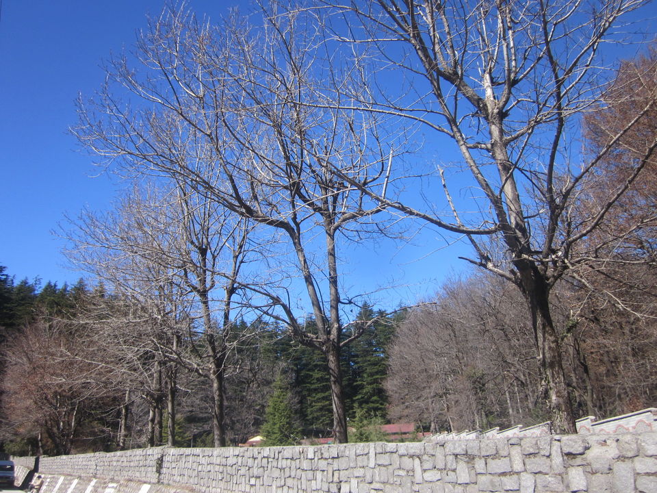 Photo of Himalayan Adventures - My 33rd Birth Day Celebration at Shimla 52/60 by Travellian.in