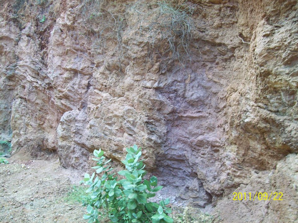 Photo of Haldighati Battle - Sacrifice of Chetak Horse by Travellian Mahesh
