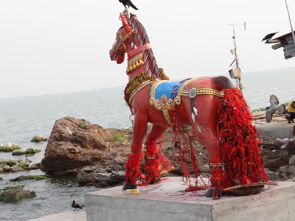 Photo of Its My ODISHA - The Soul of Incredible India 12/23 by Travellian.in