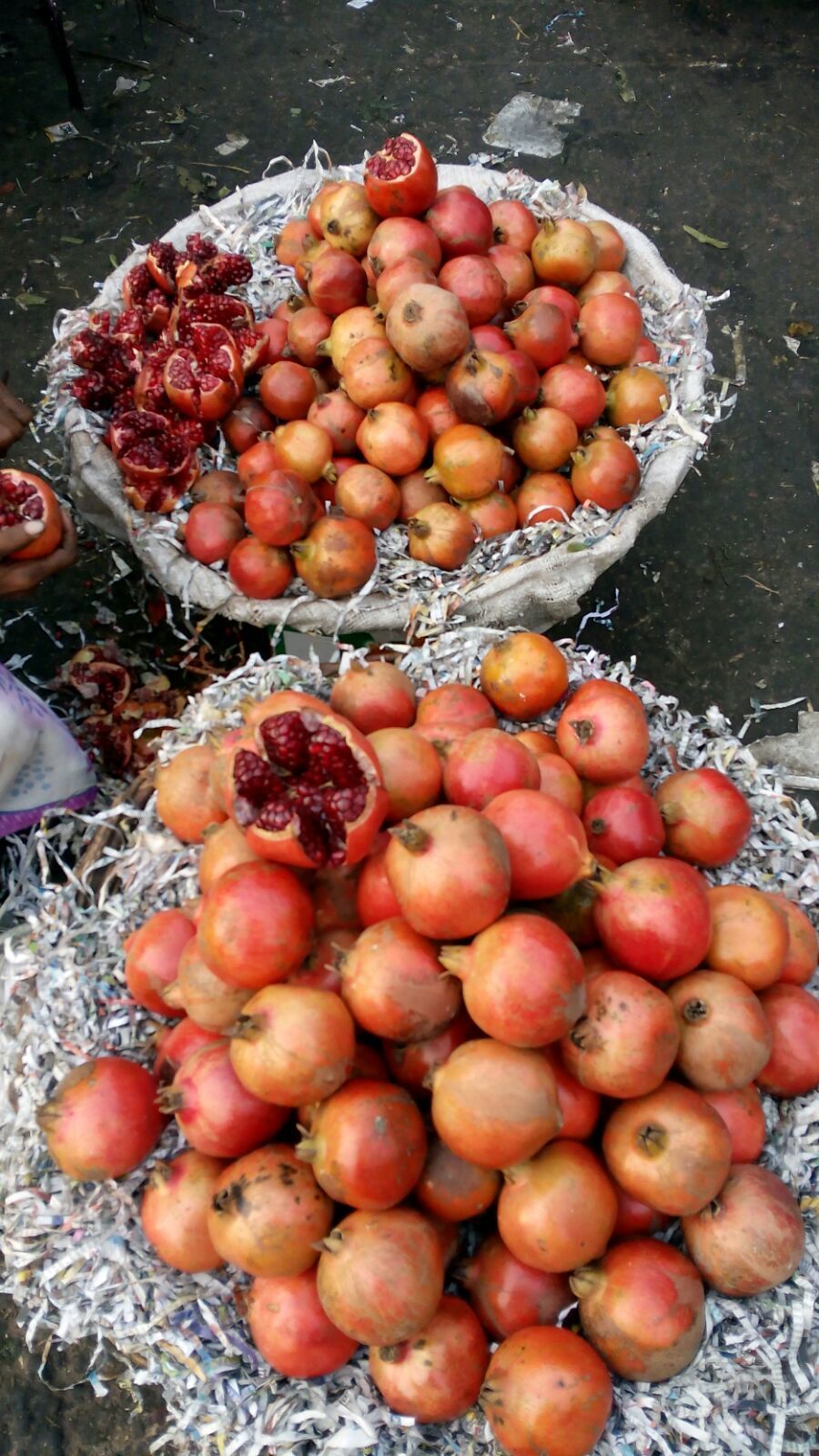 Photo of Azadpur Subzi Mandi – Asia's largest wholesale fruits and vegetables market 1/46 by Travellian.in