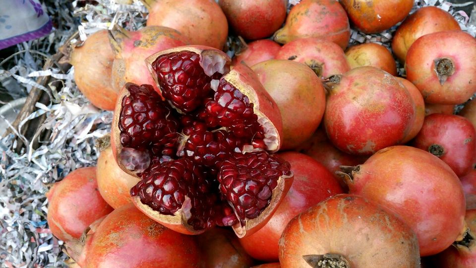 Photo of Azadpur Subzi Mandi – Asia's largest wholesale fruits and vegetables market 2/46 by Travellian.in