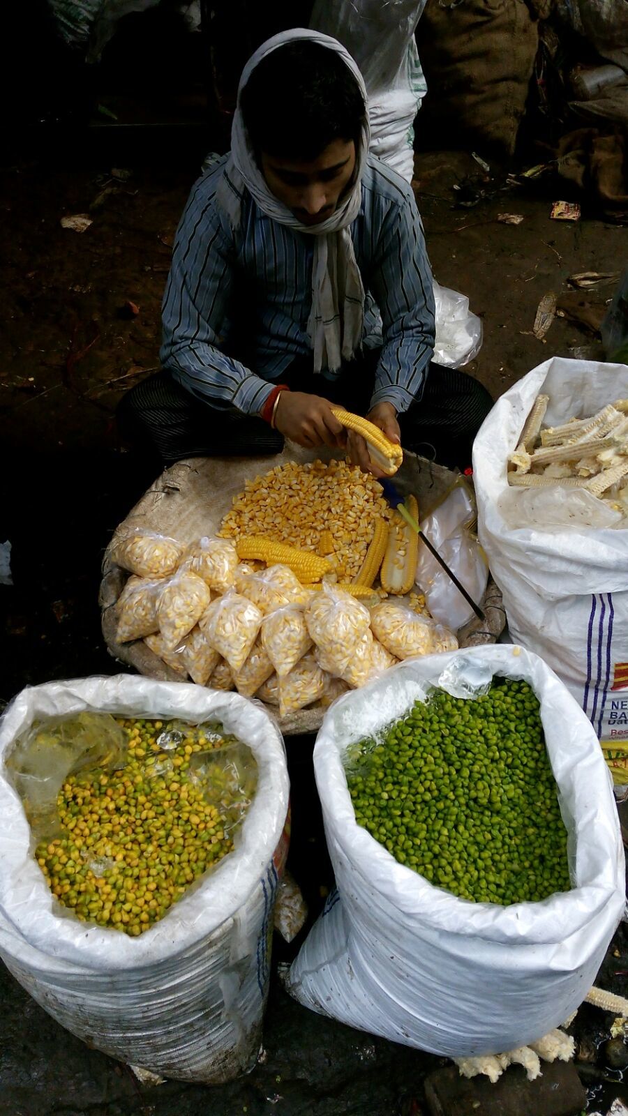 Photo of Azadpur Subzi Mandi – Asia's largest wholesale fruits and vegetables market 13/46 by Travellian.in