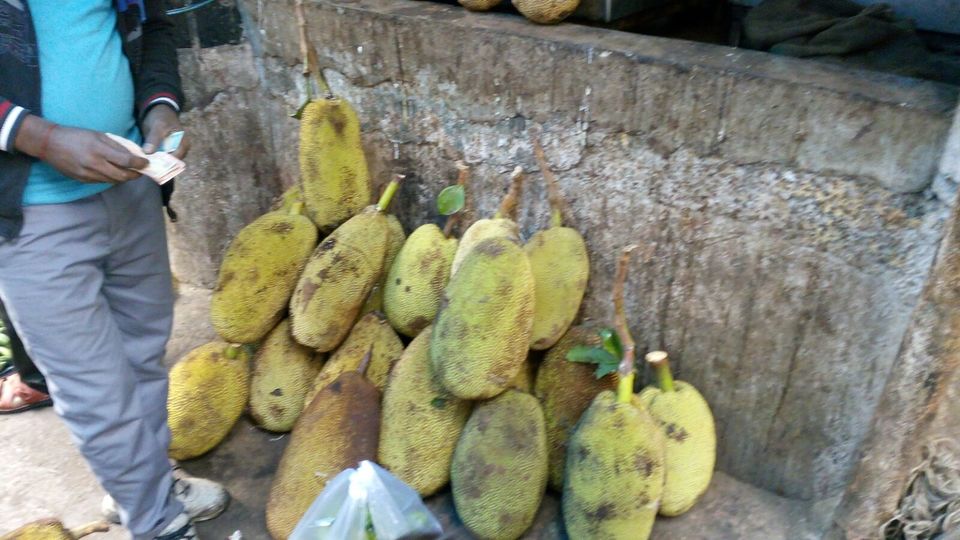 Photo of Azadpur Subzi Mandi – Asia's largest wholesale fruits and vegetables market 21/46 by Travellian.in