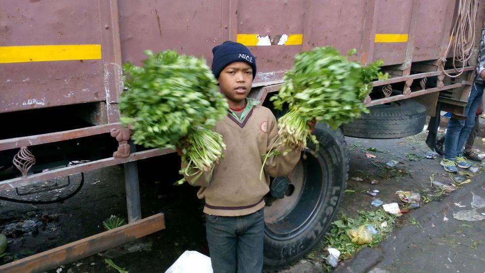 Photo of Azadpur Subzi Mandi – Asia's largest wholesale fruits and vegetables market 27/46 by Travellian.in
