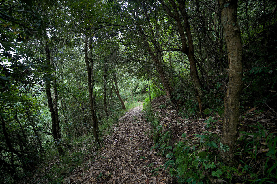 Photo of Valentine Day Escapes… 9 unexplored Romantic Places in Northern India, by Travellian Mahesh