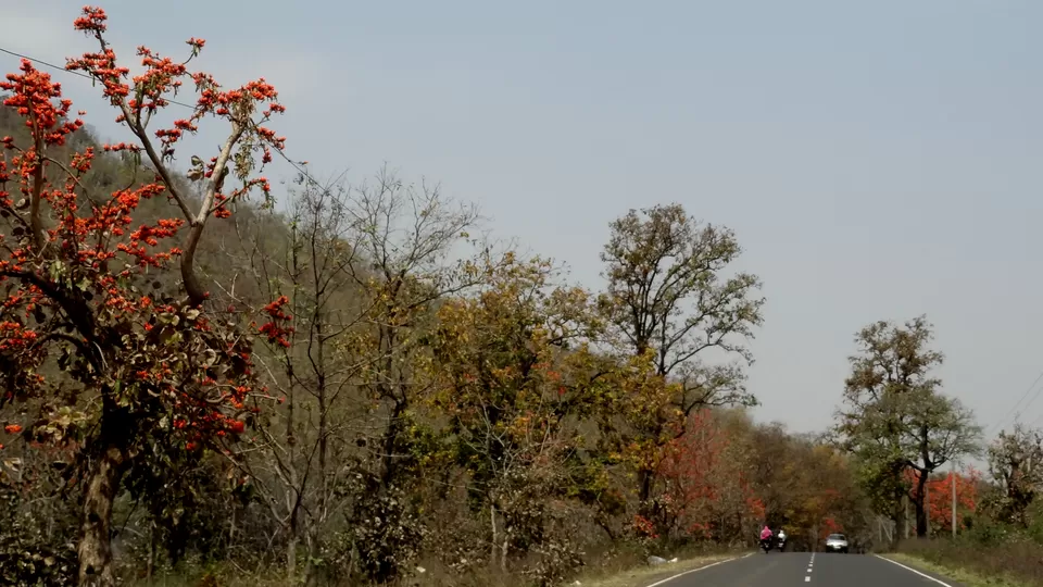 Photo of NH 12, Obaidullaganj onwards Madhya Pradesh by Aditi Kumar