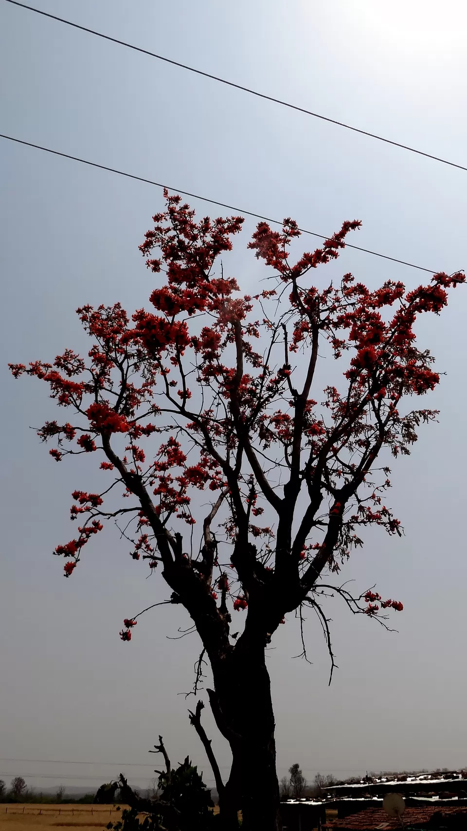 Photo of NH 12, Obaidullaganj onwards Madhya Pradesh by Aditi Kumar