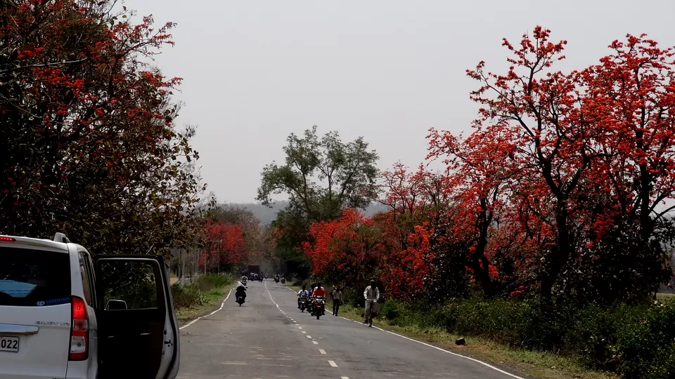 Photo of NH 12, Obaidullaganj onwards Madhya Pradesh by Aditi Kumar