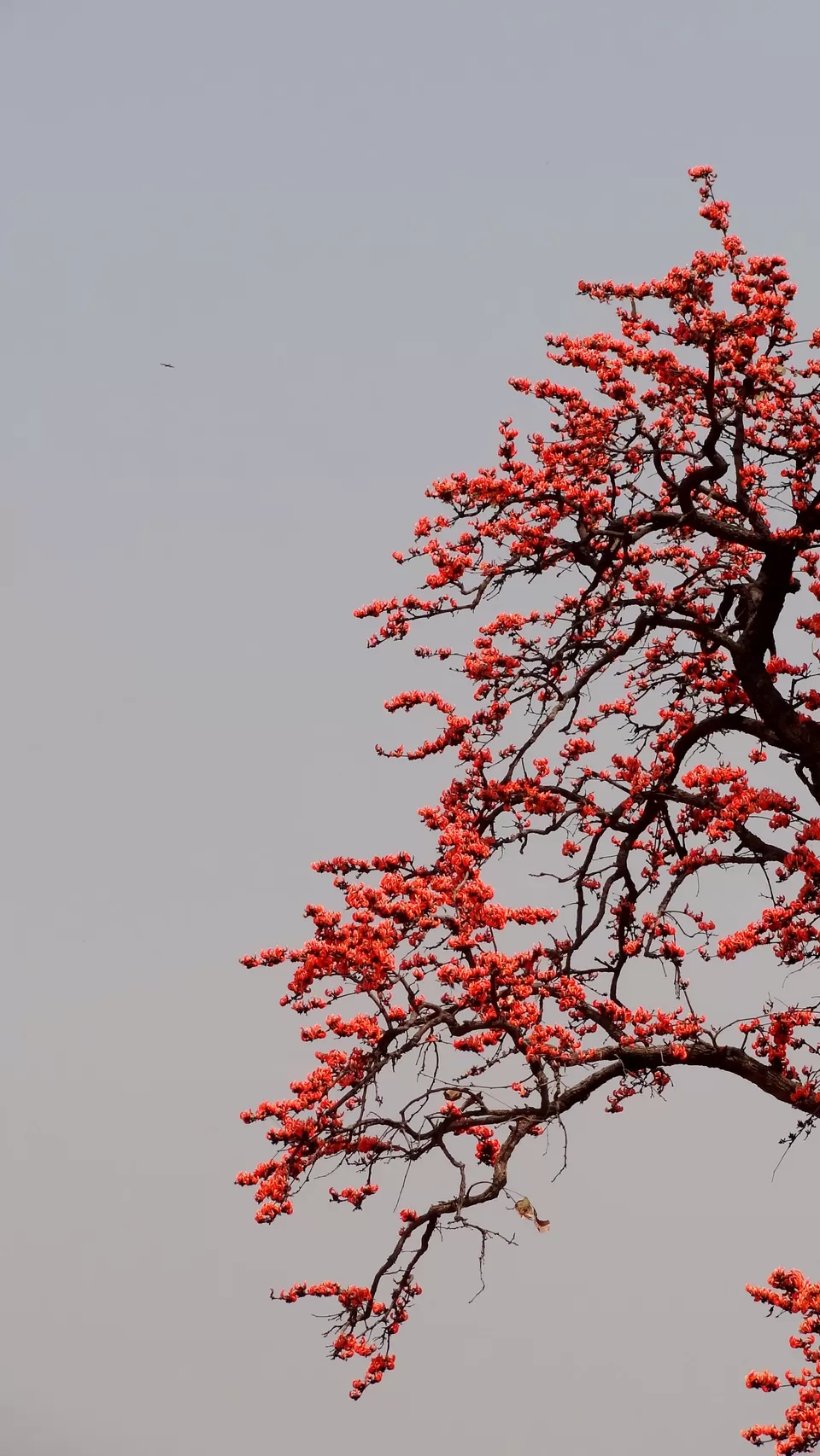 Photo of NH 12, Obaidullaganj onwards Madhya Pradesh by Aditi Kumar