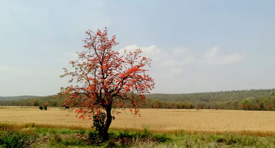 Photo of NH 12, Obaidullaganj onwards Madhya Pradesh by Aditi Kumar