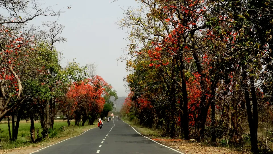 Photo of NH 12, Obaidullaganj onwards Madhya Pradesh by Aditi Kumar