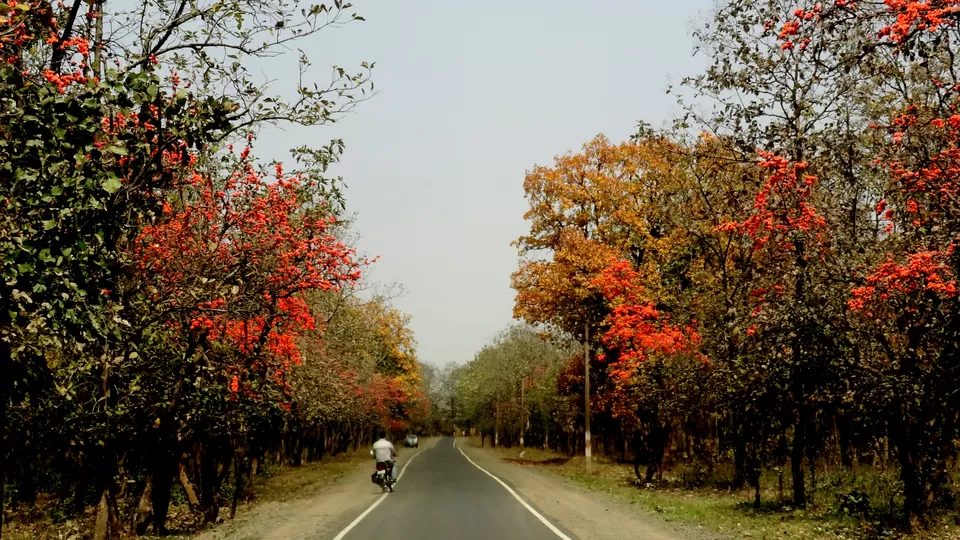Photo of NH 12, Obaidullaganj onwards Madhya Pradesh by Aditi Kumar