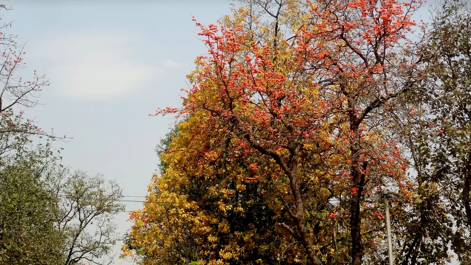 Photo of NH 12, Obaidullaganj onwards Madhya Pradesh by Aditi Kumar