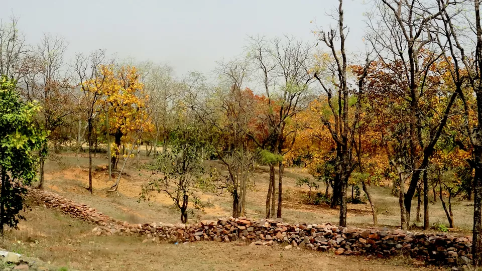 Photo of NH 12, Obaidullaganj onwards Madhya Pradesh by Aditi Kumar