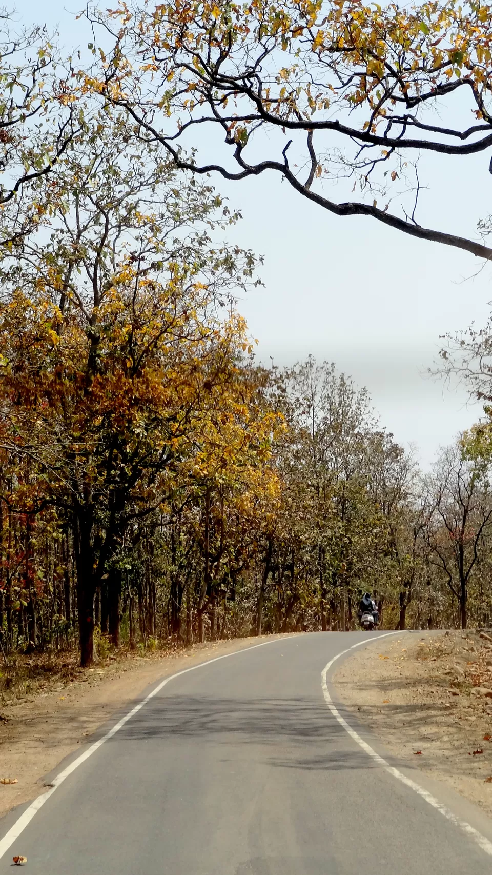 Photo of NH 12, Obaidullaganj onwards Madhya Pradesh by Aditi Kumar