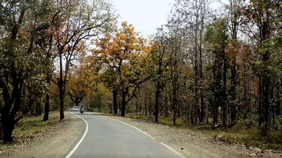 Photo of NH 12, Obaidullaganj onwards Madhya Pradesh by Aditi Kumar