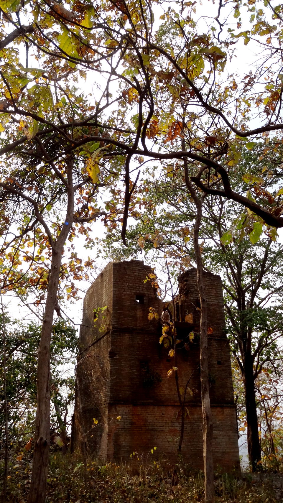 Photo of Ginnorgarh fort by Aditi Kumar