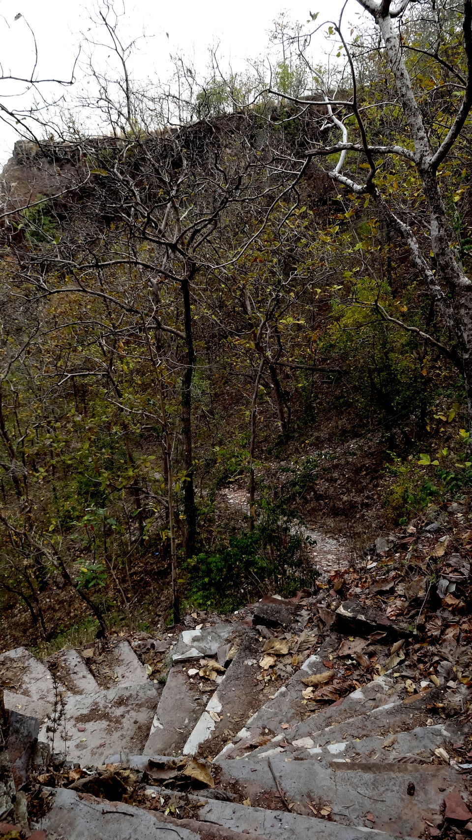 Photo of Ginnorgarh fort by Aditi Kumar