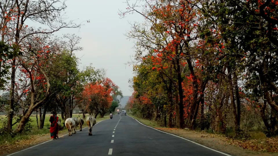Photo of NH 12, Obaidullaganj onwards Madhya Pradesh by Aditi Kumar