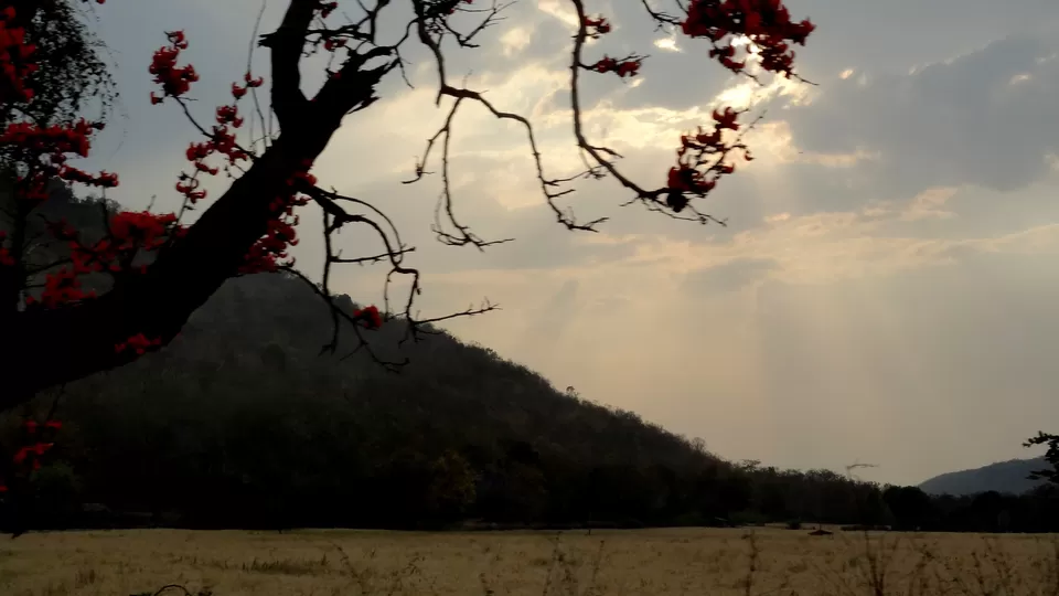 Photo of NH 12, Obaidullaganj onwards Madhya Pradesh by Aditi Kumar